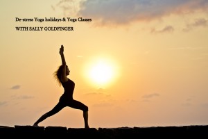 the meaning of sun salutation