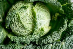 Cabbage Immune Food